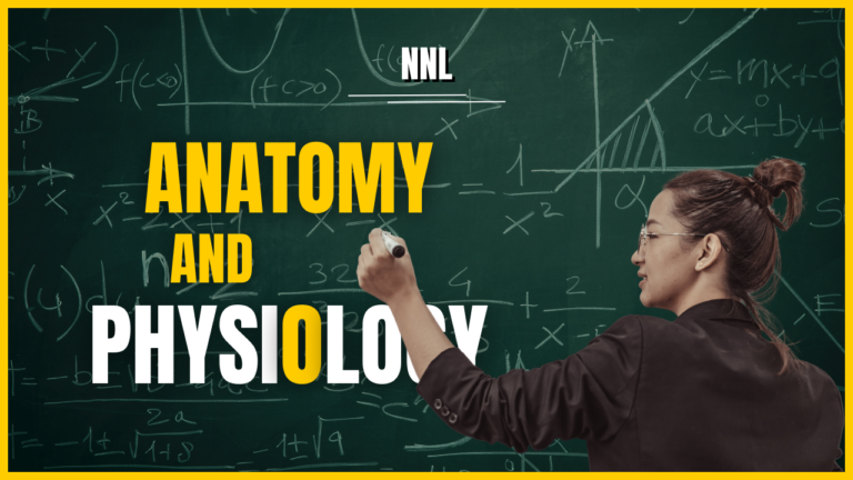 Anatomy & Physiology [GREAT MIND]